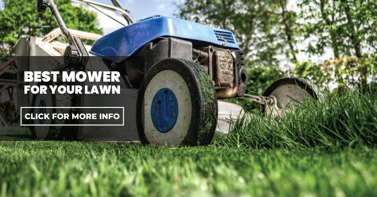 Best lawnmower for your lawn