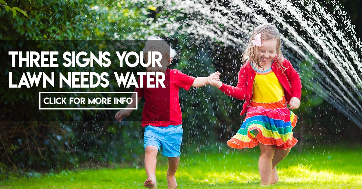 Three signs your lawn needs water