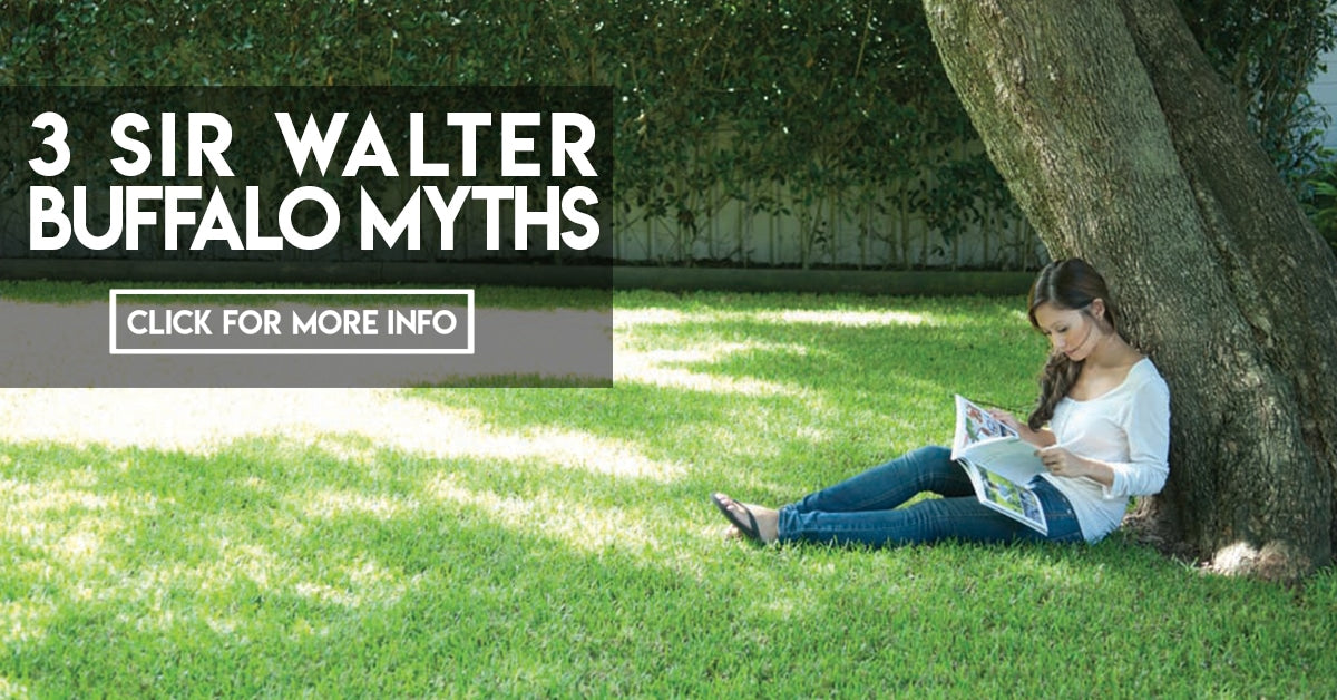 3 Sir Walter Buffalo Myths