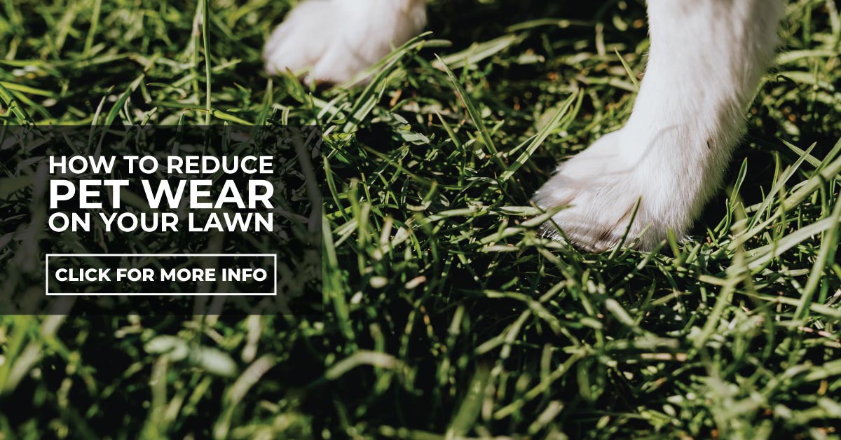 How To Reduce Pet Wear On Your Lawn