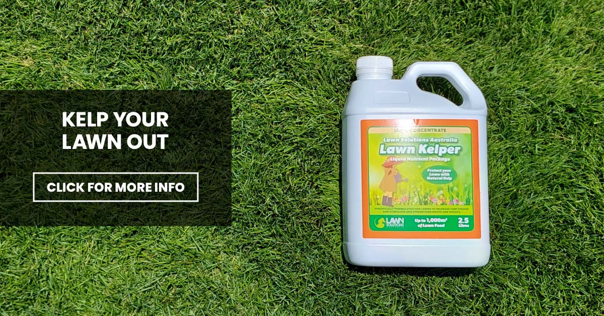 Kelp your lawn out with LSA Lawn Kelper